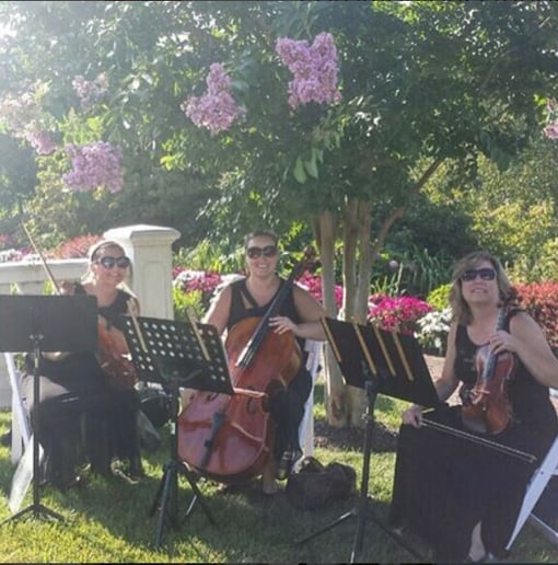 Gallery photo 5 of Ceremonious Strings LLC 