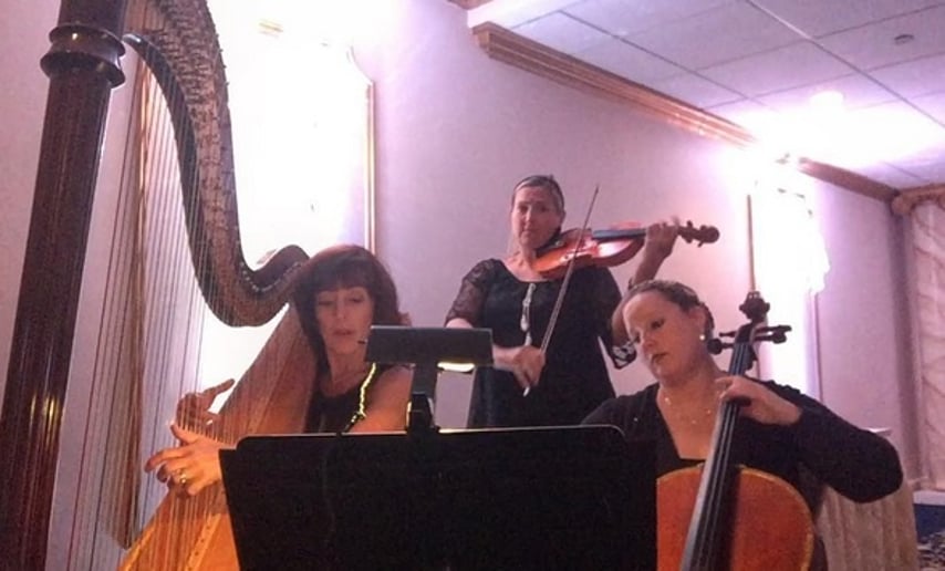 Gallery photo 6 of Ceremonious Strings LLC 
