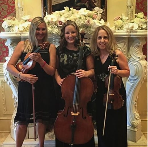 Gallery photo 7 of Ceremonious Strings LLC 