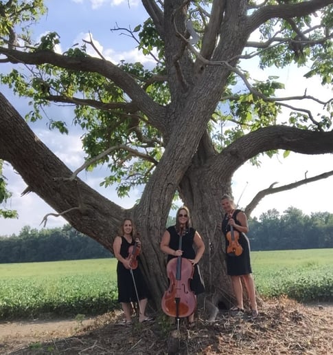 Gallery photo 10 of Ceremonious Strings LLC 