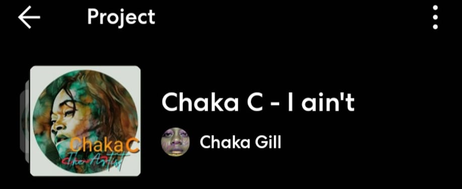 Gallery photo 4 of Chaka C