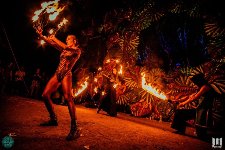 Gallery photo 3 of Chameleon Fire