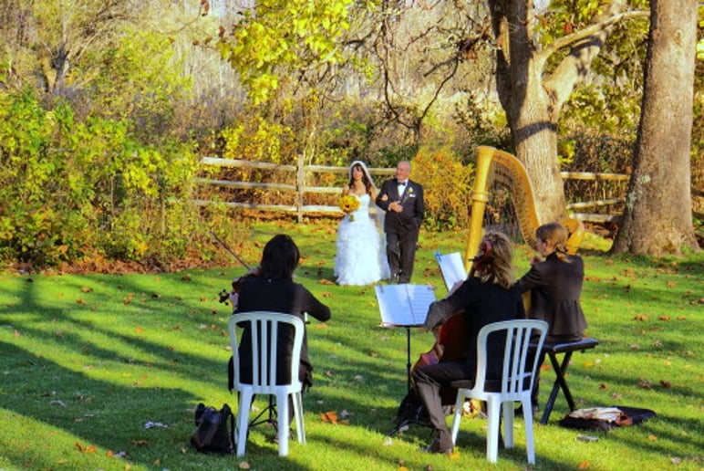 Gallery photo 2 of Champlain Music