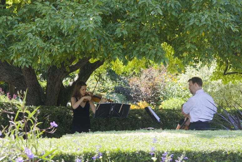 Gallery photo 4 of Champlain Music