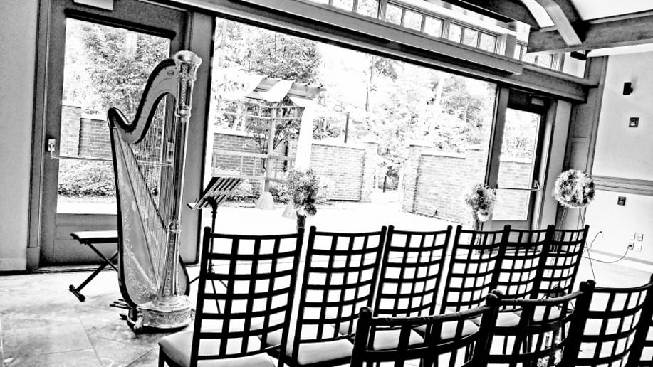 Gallery photo 27 of Chanah Ambuter, Harpist