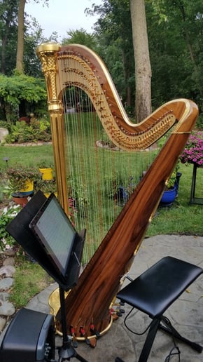 Gallery photo 25 of Chanah Ambuter, Harpist