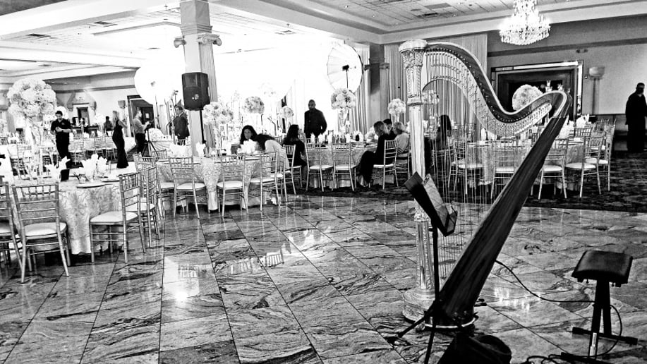 Gallery photo 2 of Chanah Ambuter, Harpist