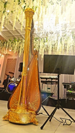 Gallery photo 4 of Chanah Ambuter, Harpist
