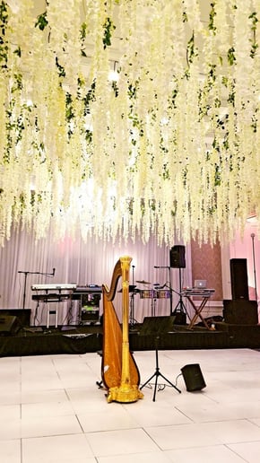 Gallery photo 14 of Chanah Ambuter, Harpist