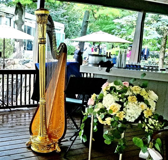 Gallery photo 15 of Chanah Ambuter, Harpist