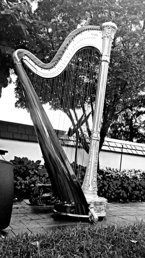 Gallery photo 24 of Chanah Ambuter, Harpist