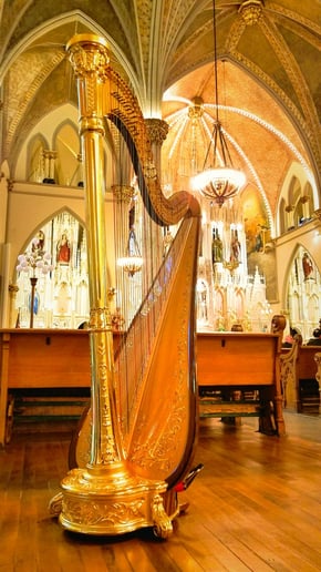 Gallery photo 1 of Chanah Ambuter, Harpist