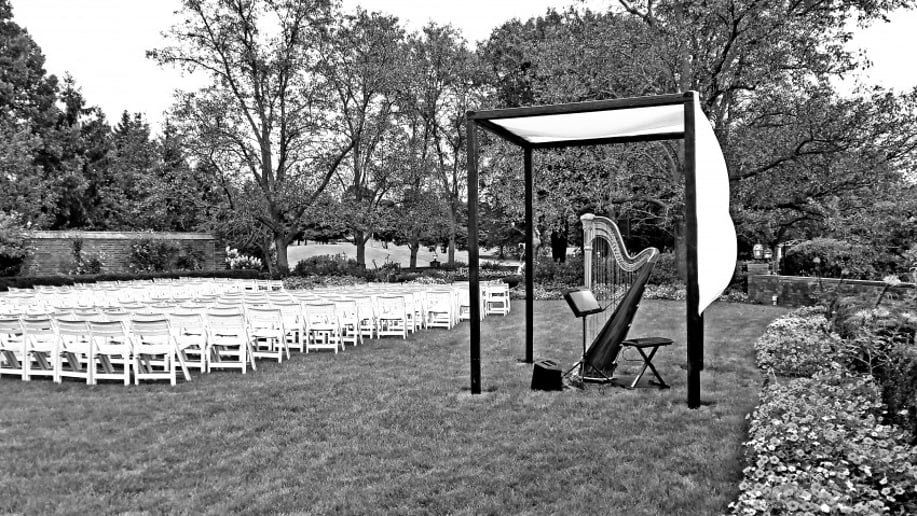 Gallery photo 26 of Chanah Ambuter, Harpist
