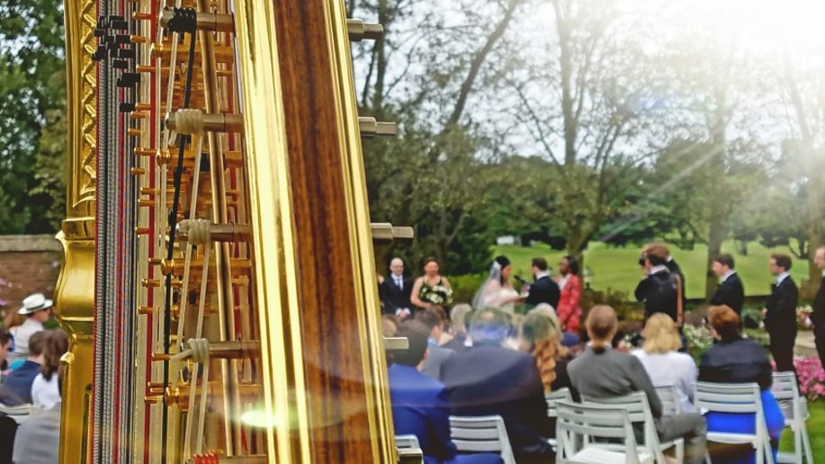 Gallery photo 22 of Chanah Ambuter, Harpist