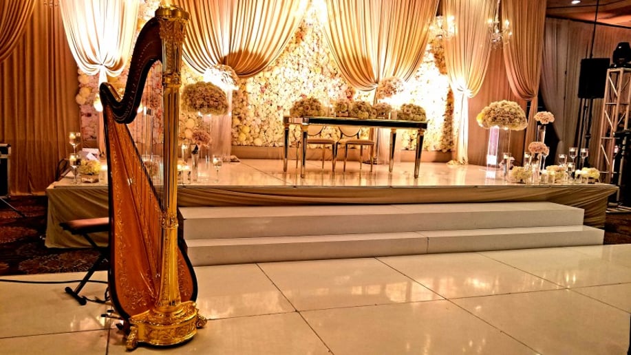 Gallery photo 7 of Chanah Ambuter, Harpist