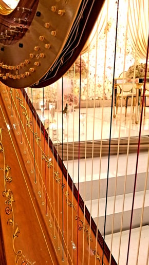 Gallery photo 23 of Chanah Ambuter, Harpist