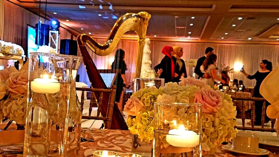 Gallery photo 18 of Chanah Ambuter, Harpist