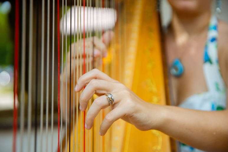 Gallery photo 30 of Chanah Ambuter, Harpist