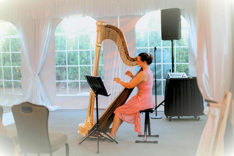 Gallery photo 31 of Chanah Ambuter, Harpist