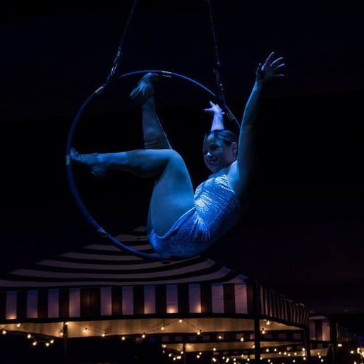 Gallery photo 45 of Chandelier Circus Entertainment