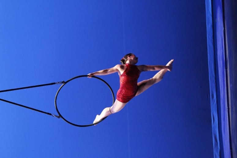 Gallery photo 51 of Chandelier Circus Entertainment