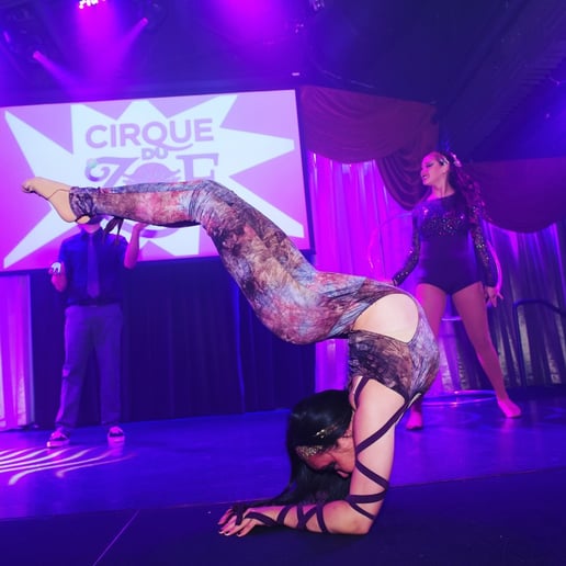 Gallery photo 4 of Chandelier Circus Entertainment