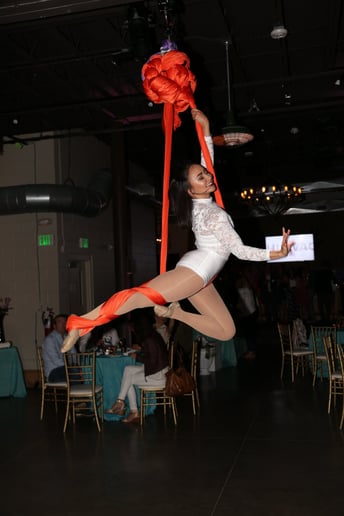 Gallery photo 15 of Chandelier Circus Entertainment