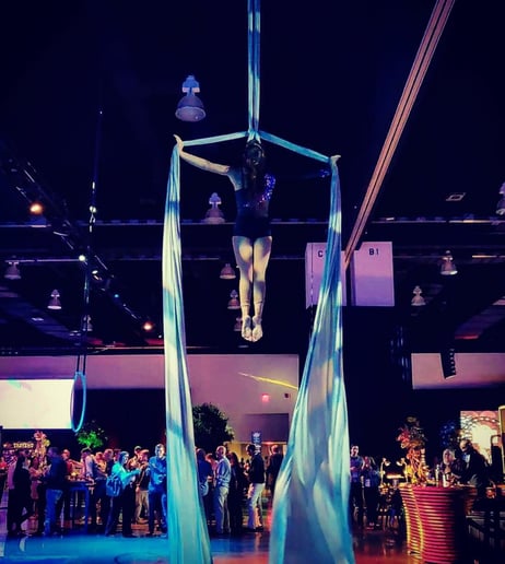 Gallery photo 5 of Chandelier Circus Entertainment