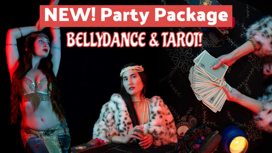 Gallery photo 9 of Chantal Bellydance Artist
