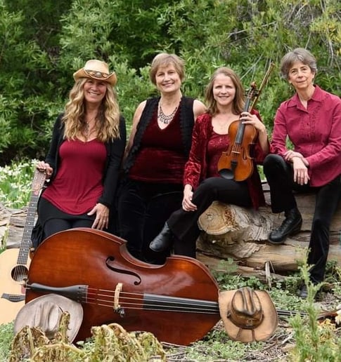 Gallery photo 9 of CharFiddle
