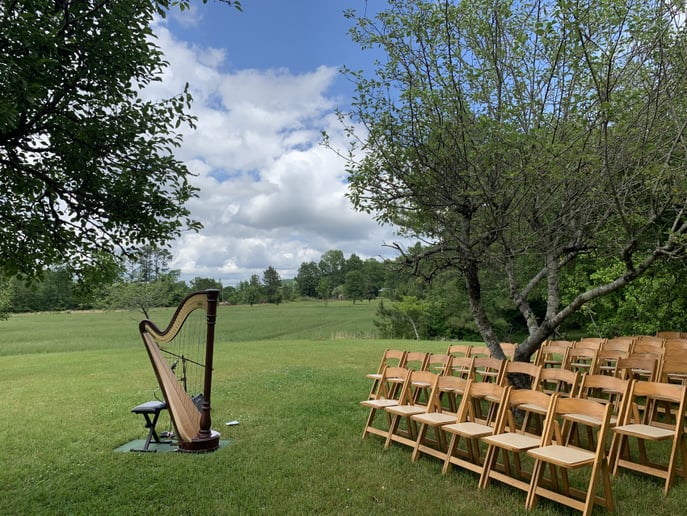 Gallery photo 2 of Charla Murray, Harpist