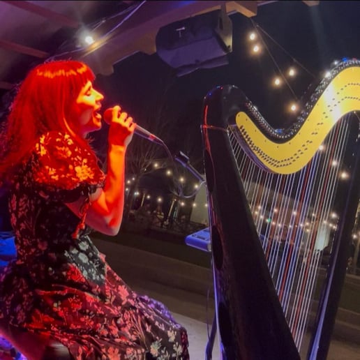 Gallery photo 1 of Charla Murray, Harpist