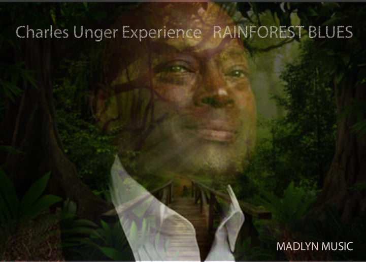 Gallery photo 4 of Charles Unger Experience