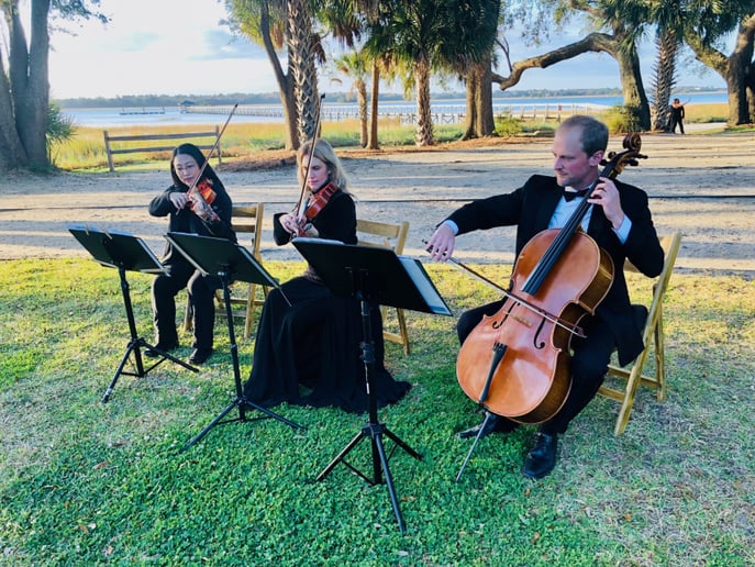 Gallery photo 3 of Charleston Elite Musicians