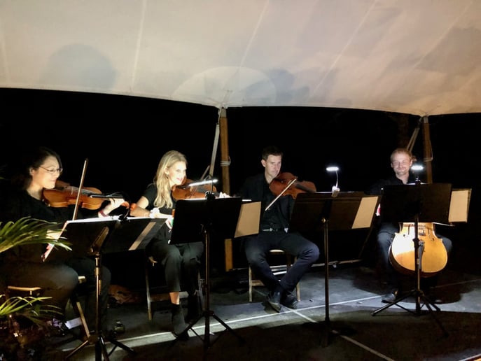 Gallery photo 4 of Charleston Elite Musicians