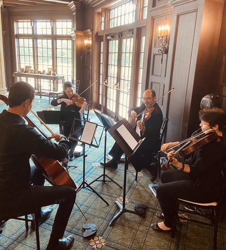 Gallery photo 1 of Charlotte Strings