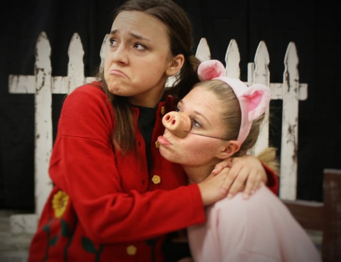 Gallery photo 1 of Charlotte's Web