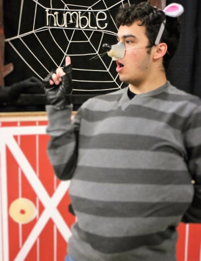 Gallery photo 4 of Charlotte's Web