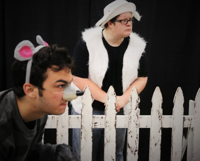 Gallery photo 8 of Charlotte's Web