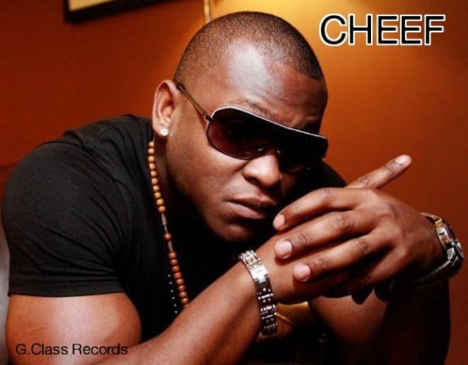 Gallery photo 3 of Cheef