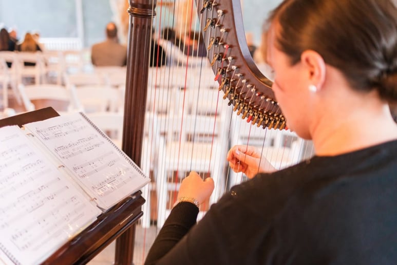 Gallery photo 1 of Chelsie Rose Harpist
