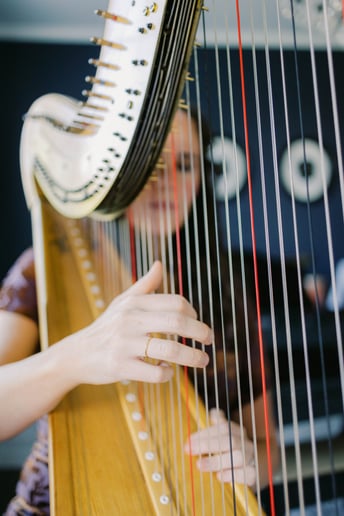 Gallery photo 6 of Chelsie Rose Harpist