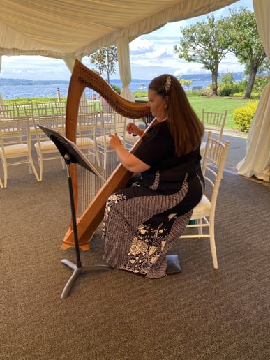 Gallery photo 2 of Cheryl Grohn Harp & Piano