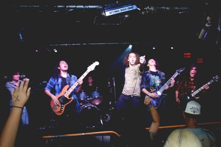 Gallery photo 7 of Chewy
