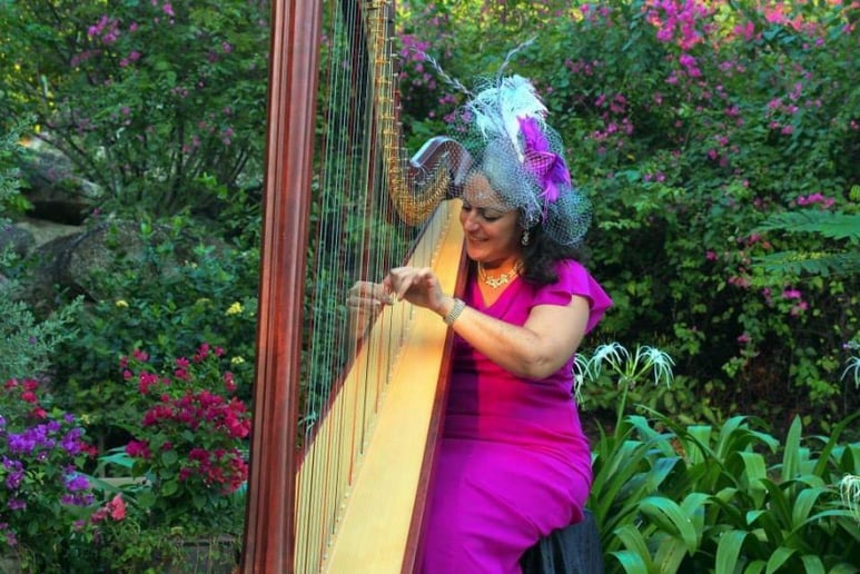 Gallery photo 9 of Chiara Capobianco harpist for events