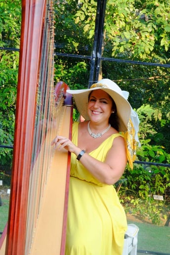 Gallery photo 10 of Chiara Capobianco harpist for events