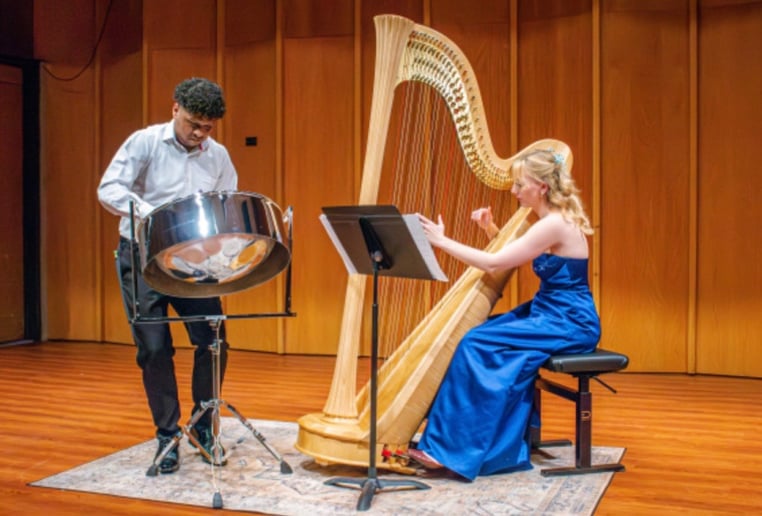 Gallery photo 10 of Chicago Harpist Anya Pasowicz
