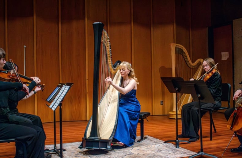 Gallery photo 4 of Chicago Harpist Anya Pasowicz