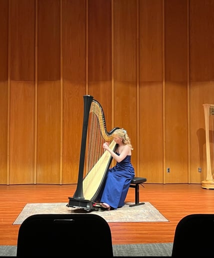 Gallery photo 6 of Chicago Harpist Anya Pasowicz