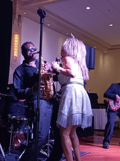 Gallery photo 6 of Chicago's Tina Turner